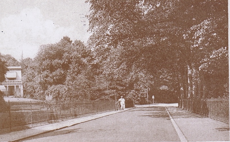 Hekken en Hagen in sepia in Overbeek te Bloemendaal