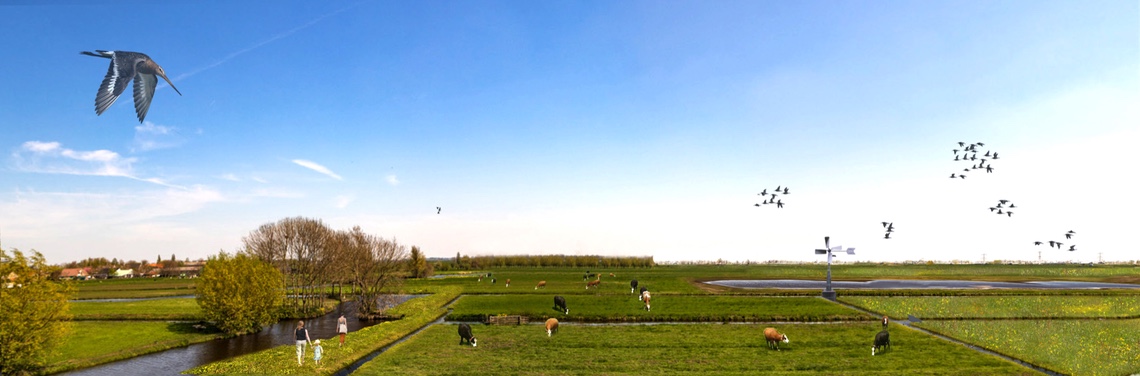 Vliegende grutto's in de Binnenwaard van de Alblasserwaard